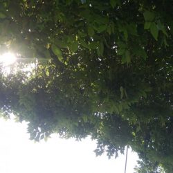 ライトゲーム(^^)楽しいデス♡♬♬♬