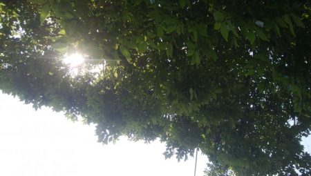 ライトゲーム(^^)楽しいデス♡♬♬♬