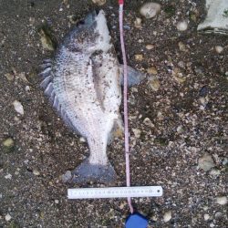 釣り日和(^^)大漁