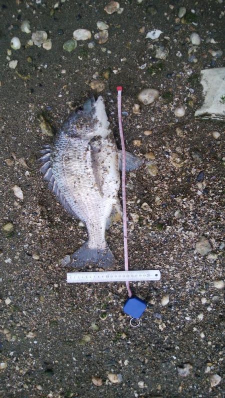 釣り日和(^^)大漁