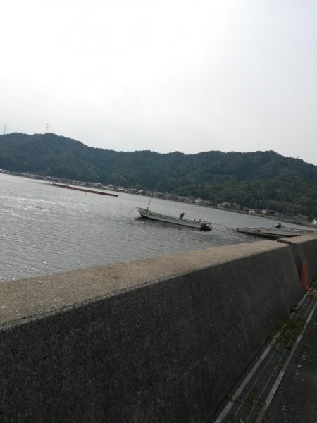 初イカ記録更新