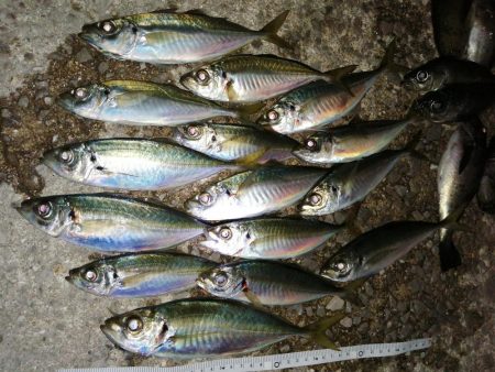 厳しい中でもなんとか