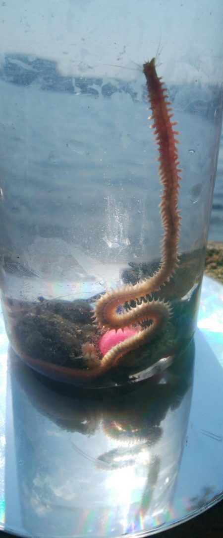 (^^)夏気分!海が気持ち良い(^^)