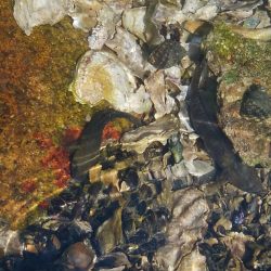 (^^)一日中!のんびりハゼ釣り