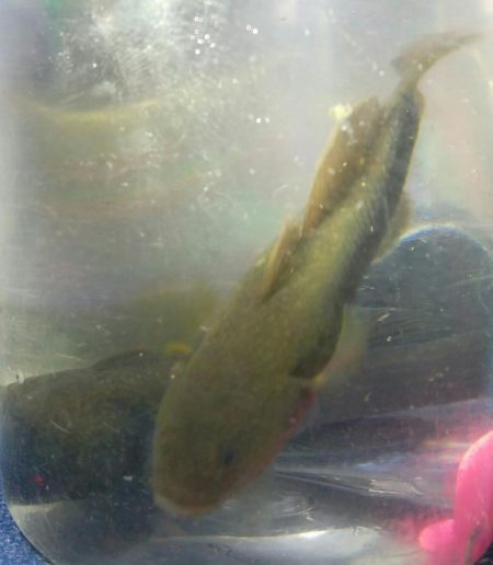 (^^)過ごしやすい釣り日和