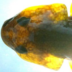 今日も釣り日和(^^)