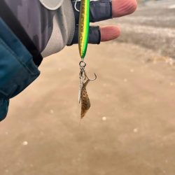 ショアジギング