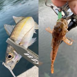 パターンの見つけ方