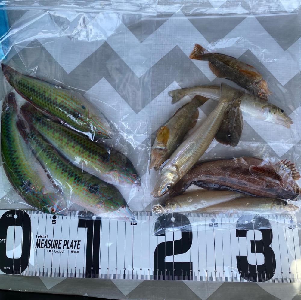 ちょい投げキス釣り