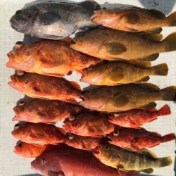 鳥取沖で、ネギング