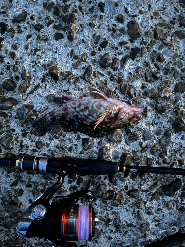 季節の変わり目