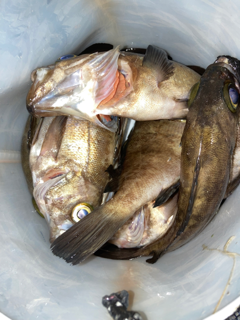 ファーストキス