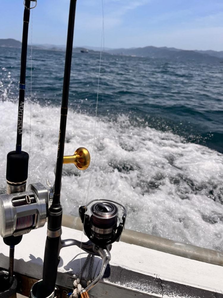 白甘鯛!他、五目釣り