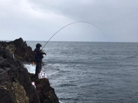 男鹿市戸賀寄島