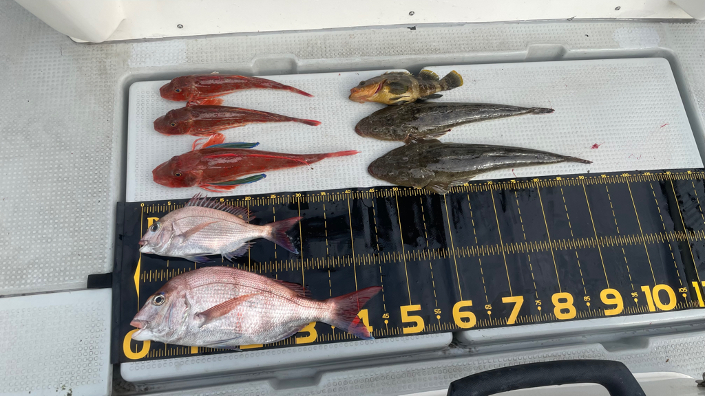 仕立船でタイラバ