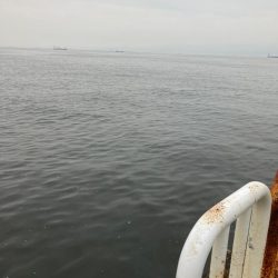 ⭐︎6-3.4-2.3-5上昇傾向