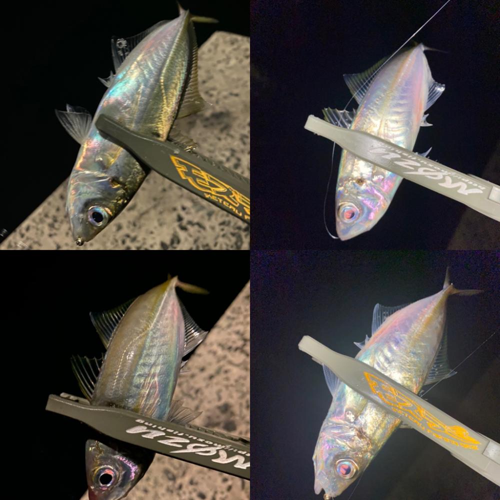 釣れないけど楽しい時間