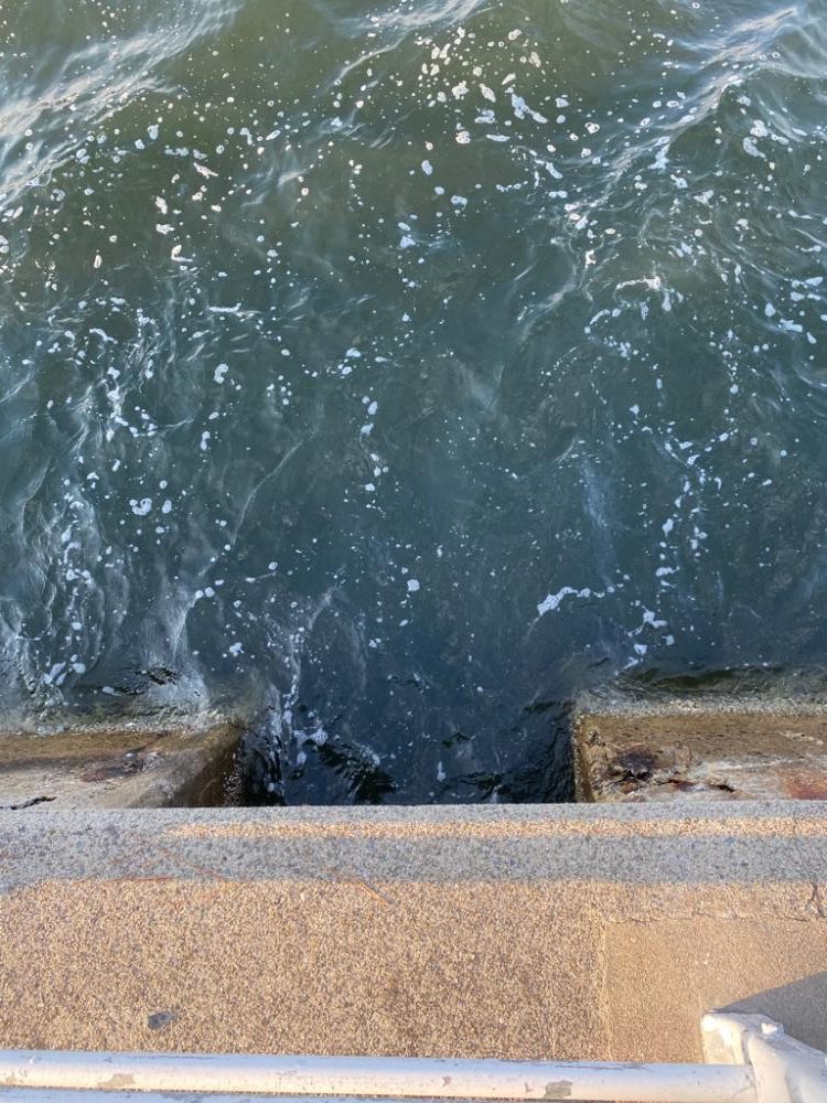 ヘチってきました