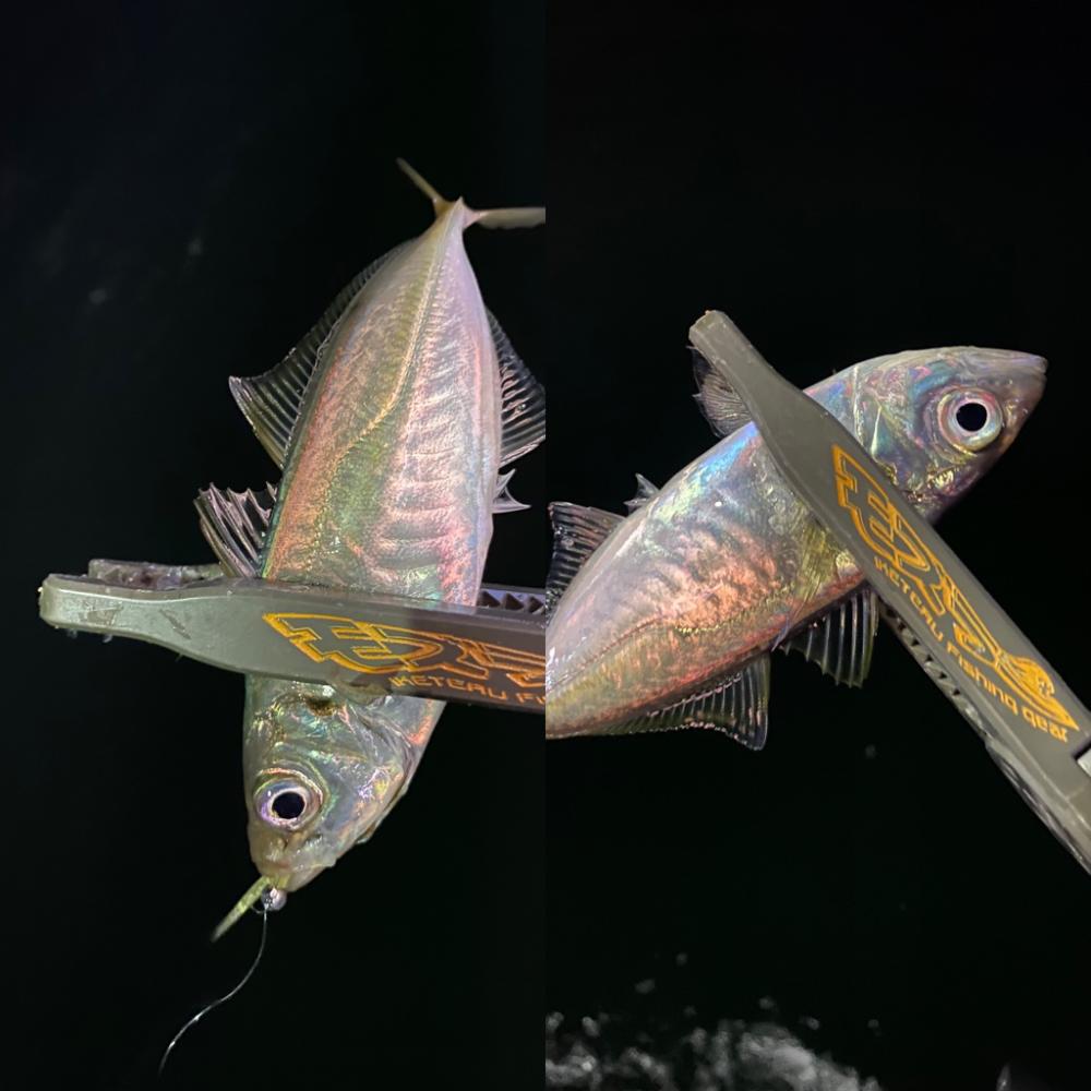 沈下速度は、重要!