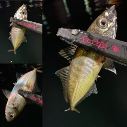 宵姫AJカスタムのバランスの良さ