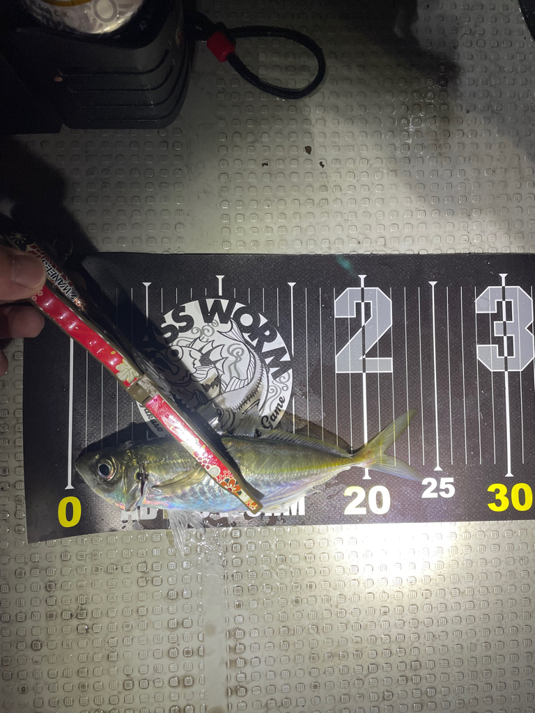 初ボートアジング