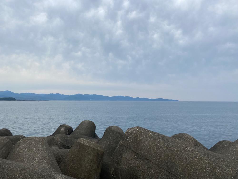 カマスにルアーを合わせてみたら連発！