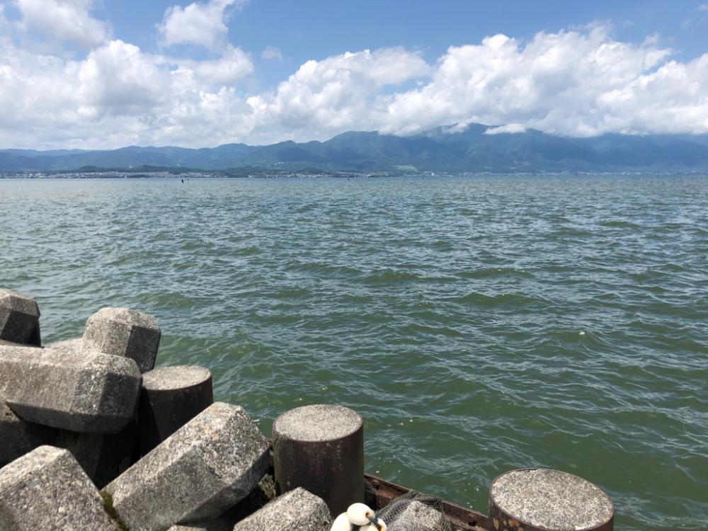 安定のスイムジグ