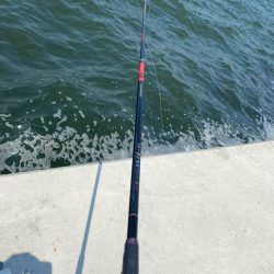 連日良型ハネ、スズキ狙い