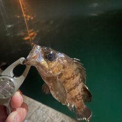 雨が降ったら終了