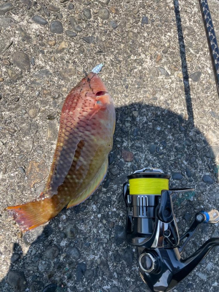 とりあえず一杯