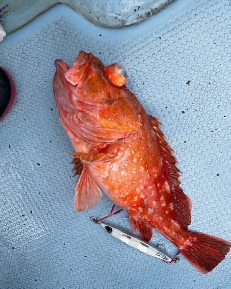 足摺岬沖スロージギング