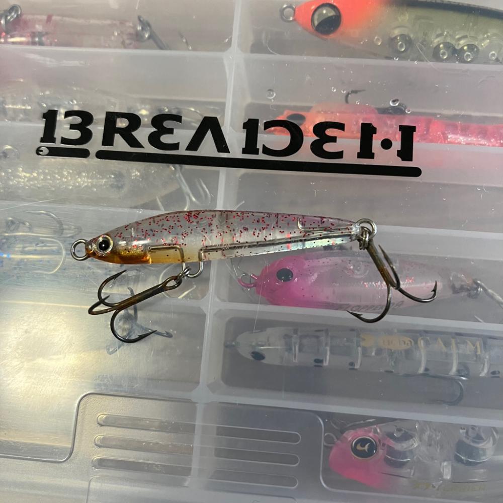 ガシラプラッギング