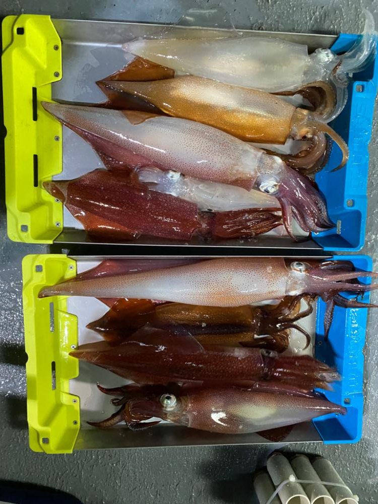 イカメタルで大剣狙い