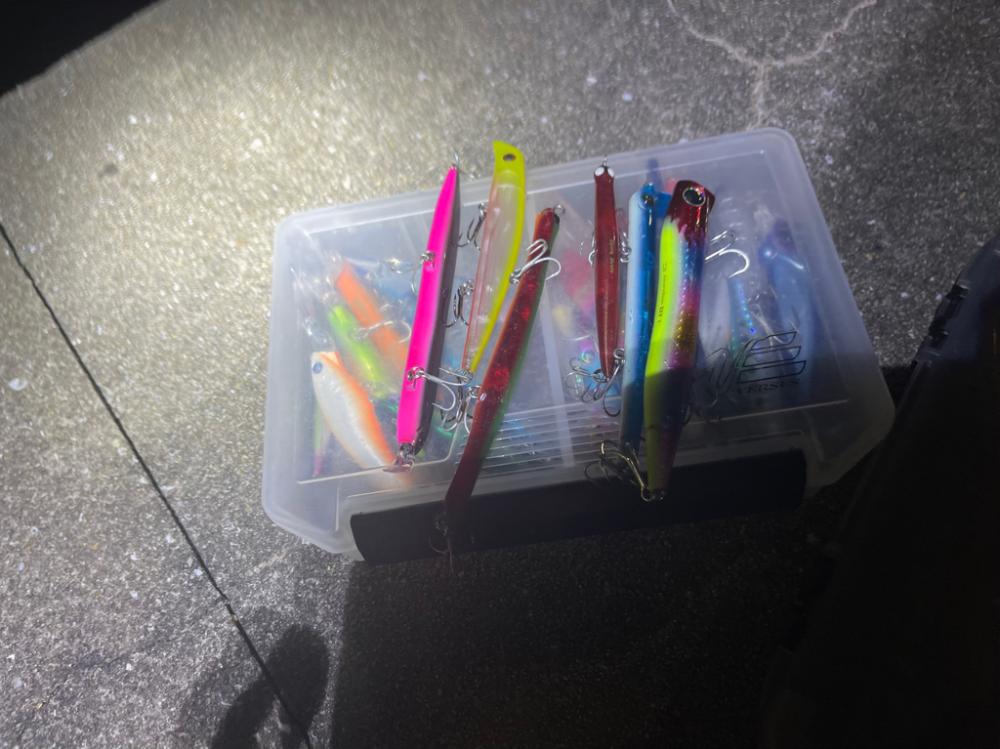 キス釣りからのバチ抜けシーバス