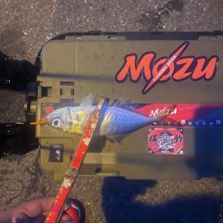 大分県別府遠征