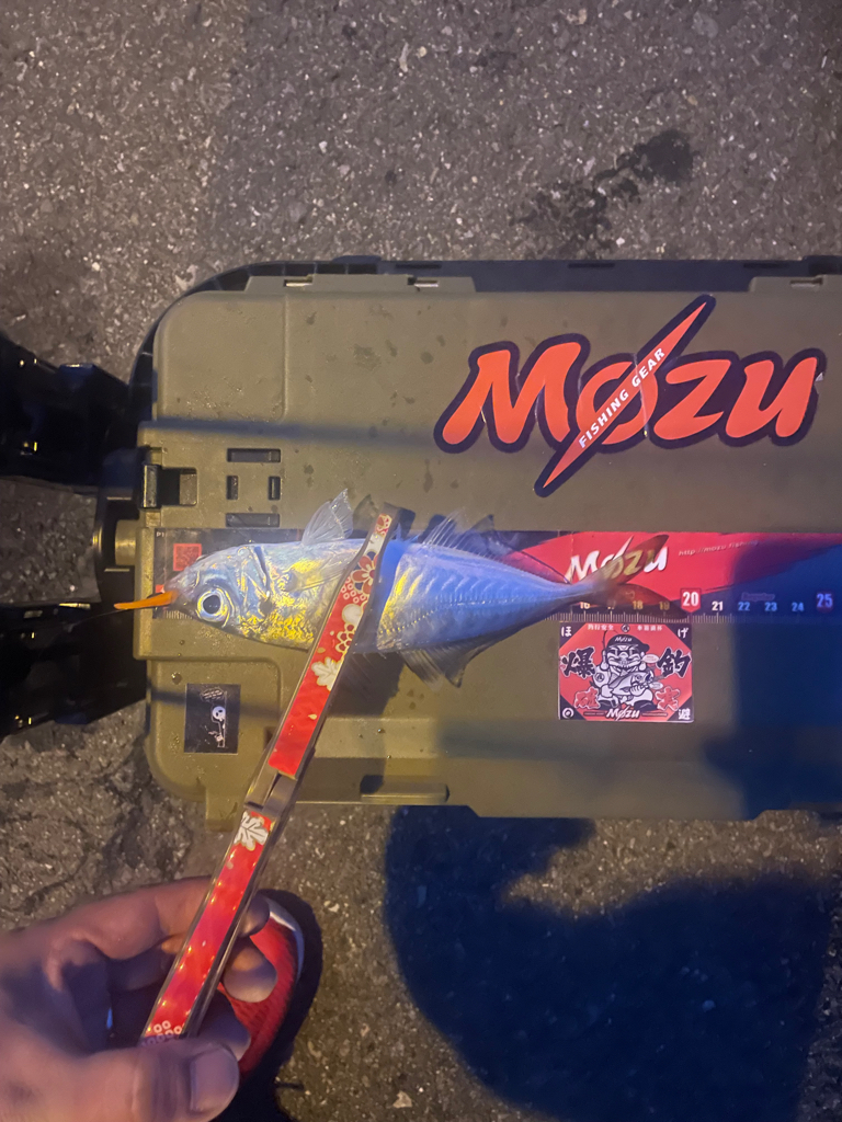 大分県別府遠征