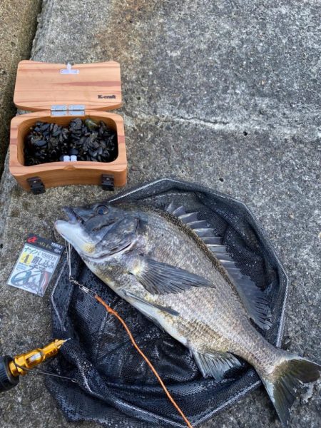 大阪北港チヌヘチ釣り