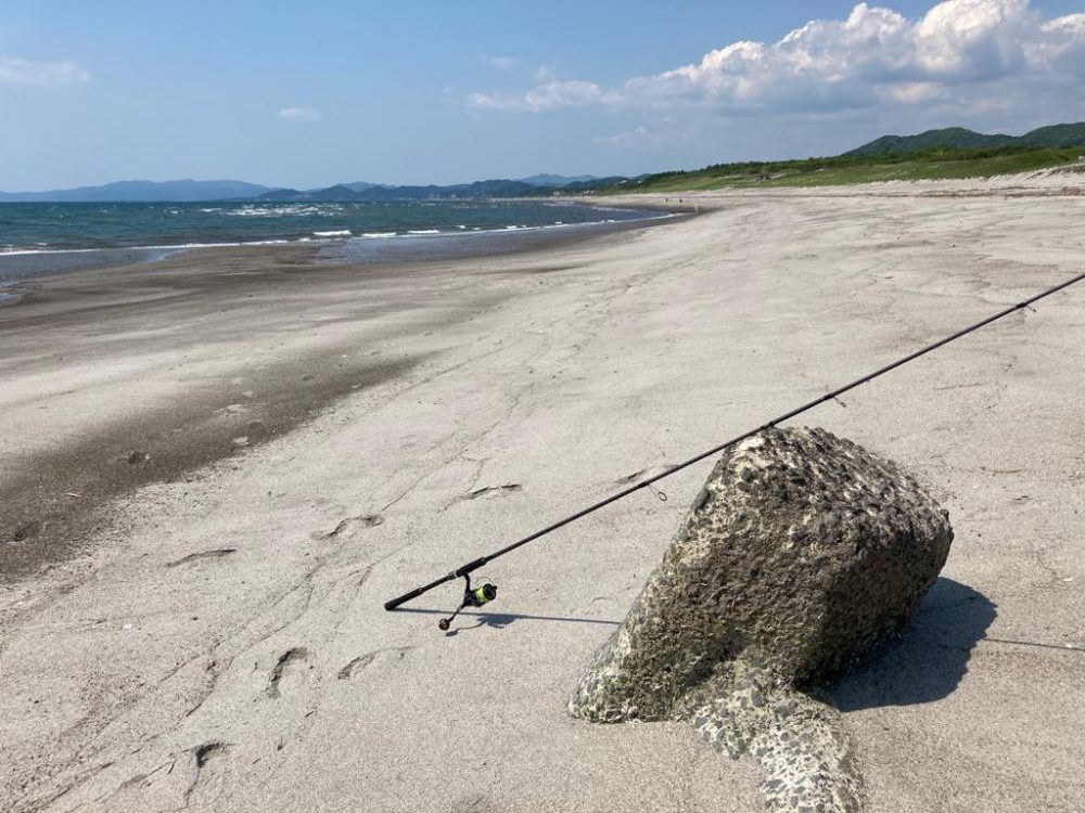 ハガツオ爆釣？！