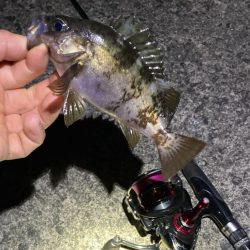 メバリングGW第二弾