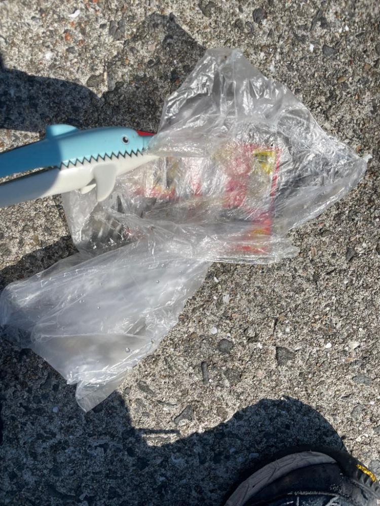 初めてのカレイ