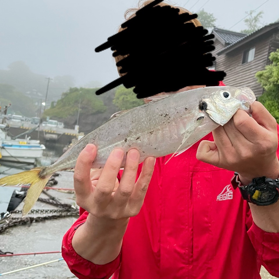 尺アジ　サビキ釣り