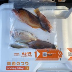 和歌山マリーナシティーへ、キス釣りに