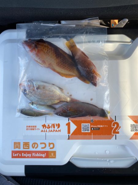 和歌山マリーナシティーへ、キス釣りに