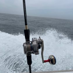 明石沖タコ釣り