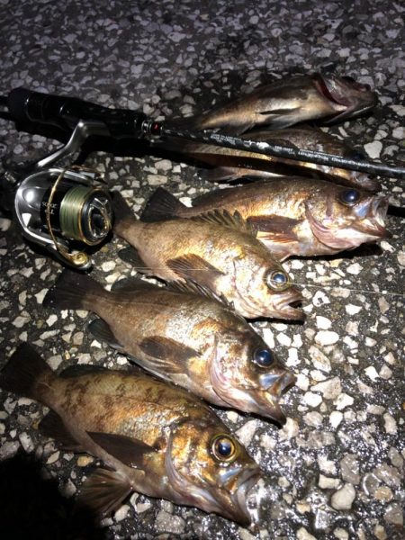 プラグでも、ワームでも