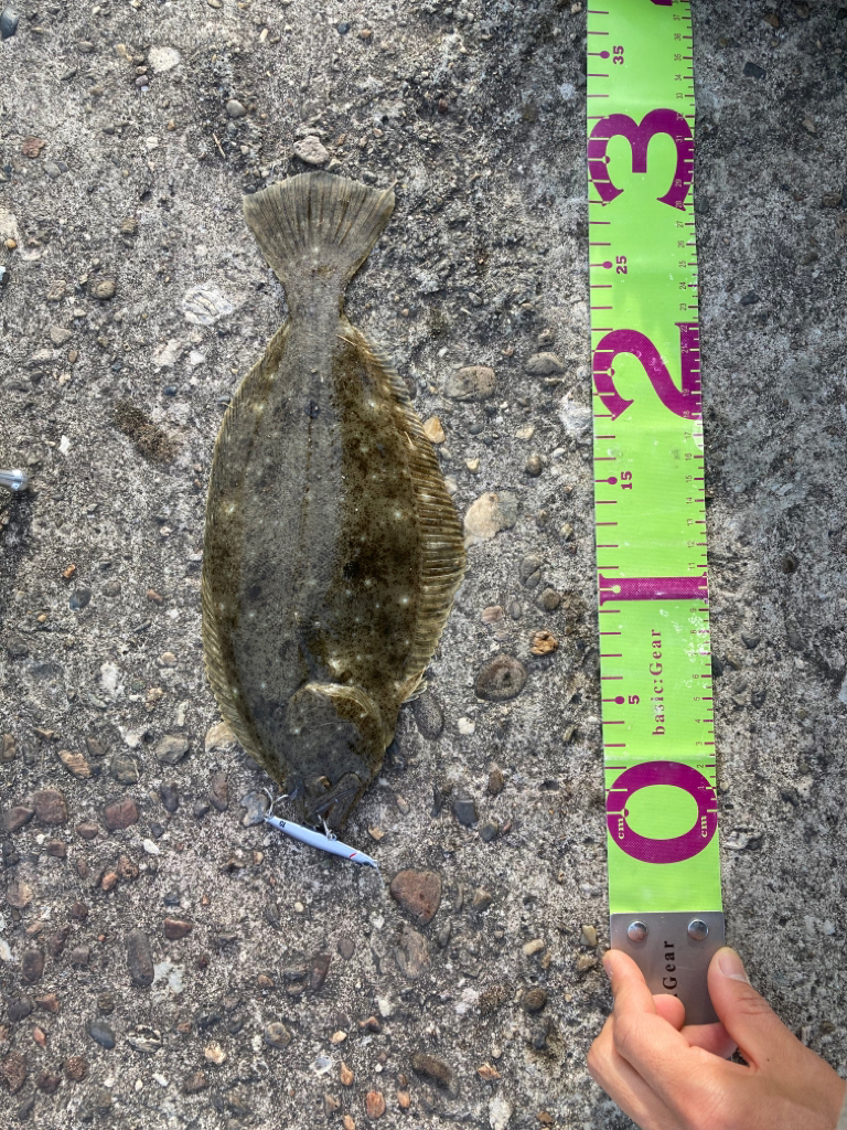 小ぶりな三目魚