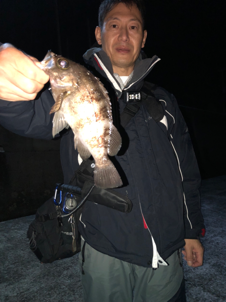 雨中メバリング⁉️