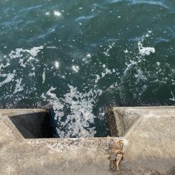 フカセってきました