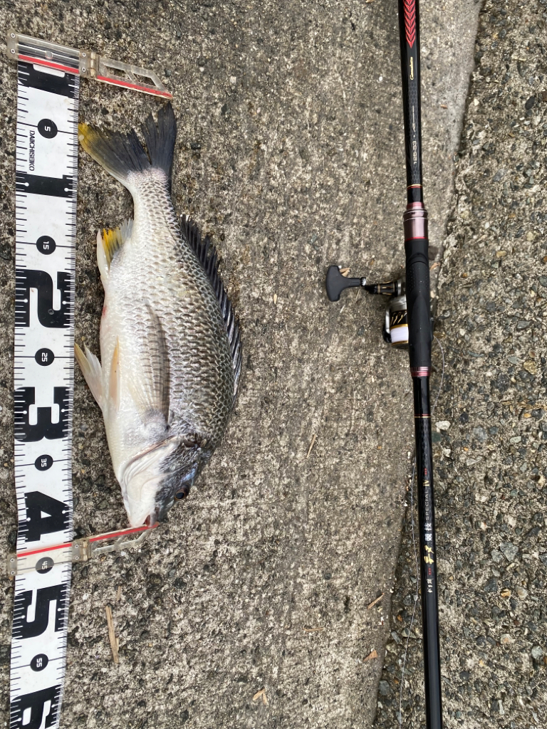 ウェアをどれにするか?迷うシーズン