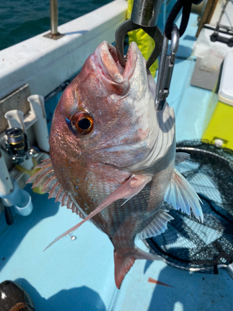 一つテンヤ❗️